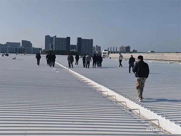 一TSP塑鋼融合瓦案例展示一